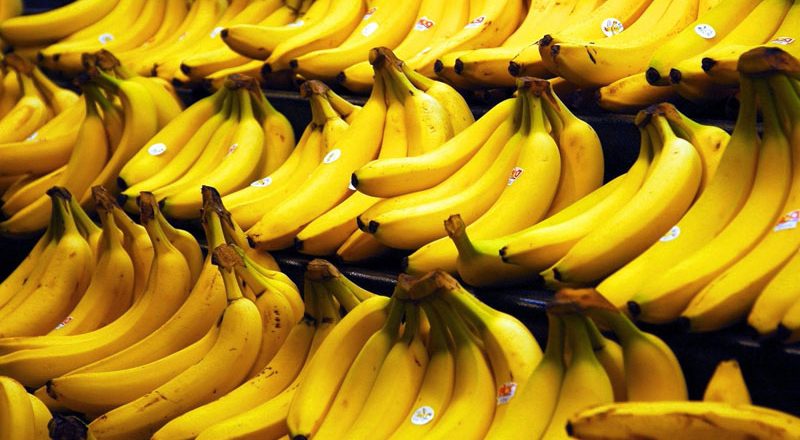 pisang sebagai sumber energi alam